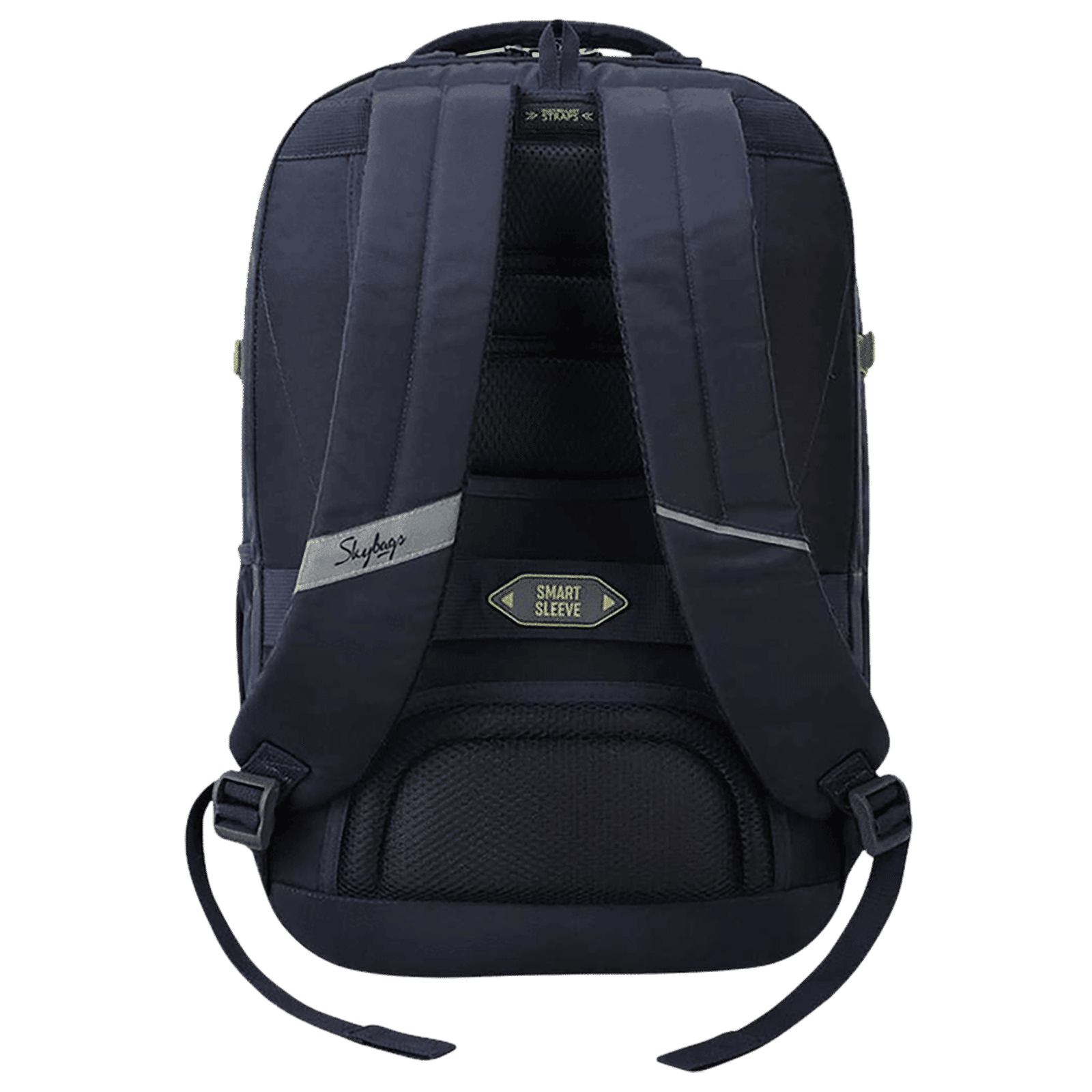 Buy Skybags Intern 1 Polyester Laptop Backpack for 17 Inch Laptop (30 L